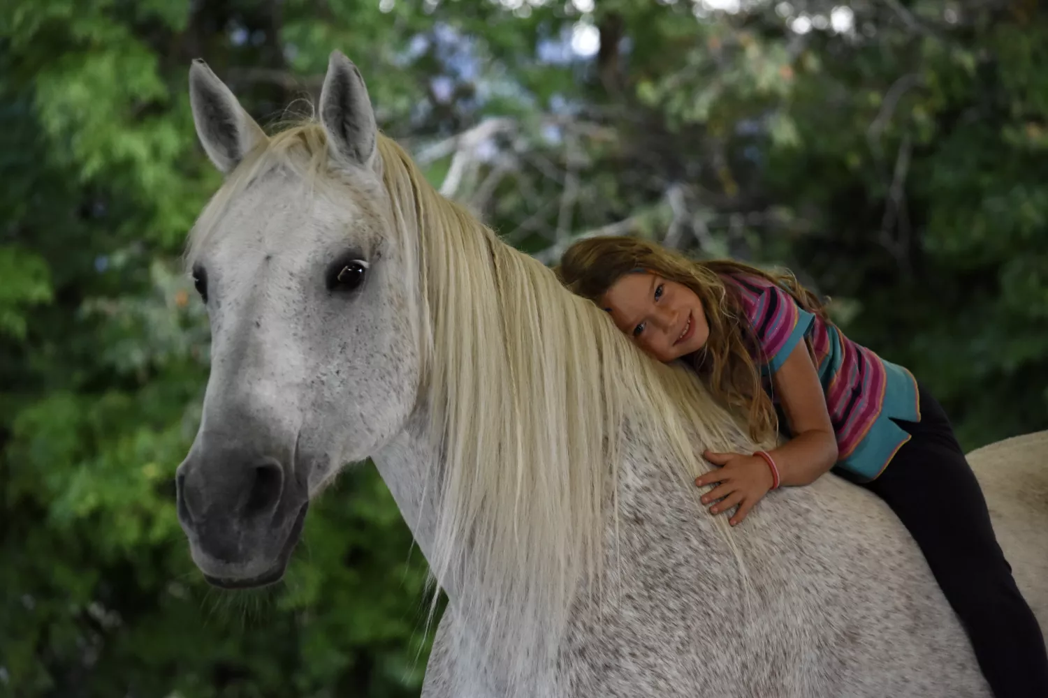 Frühling-Reitwoche 1: 07.April- 11.April / Mo-Fr 